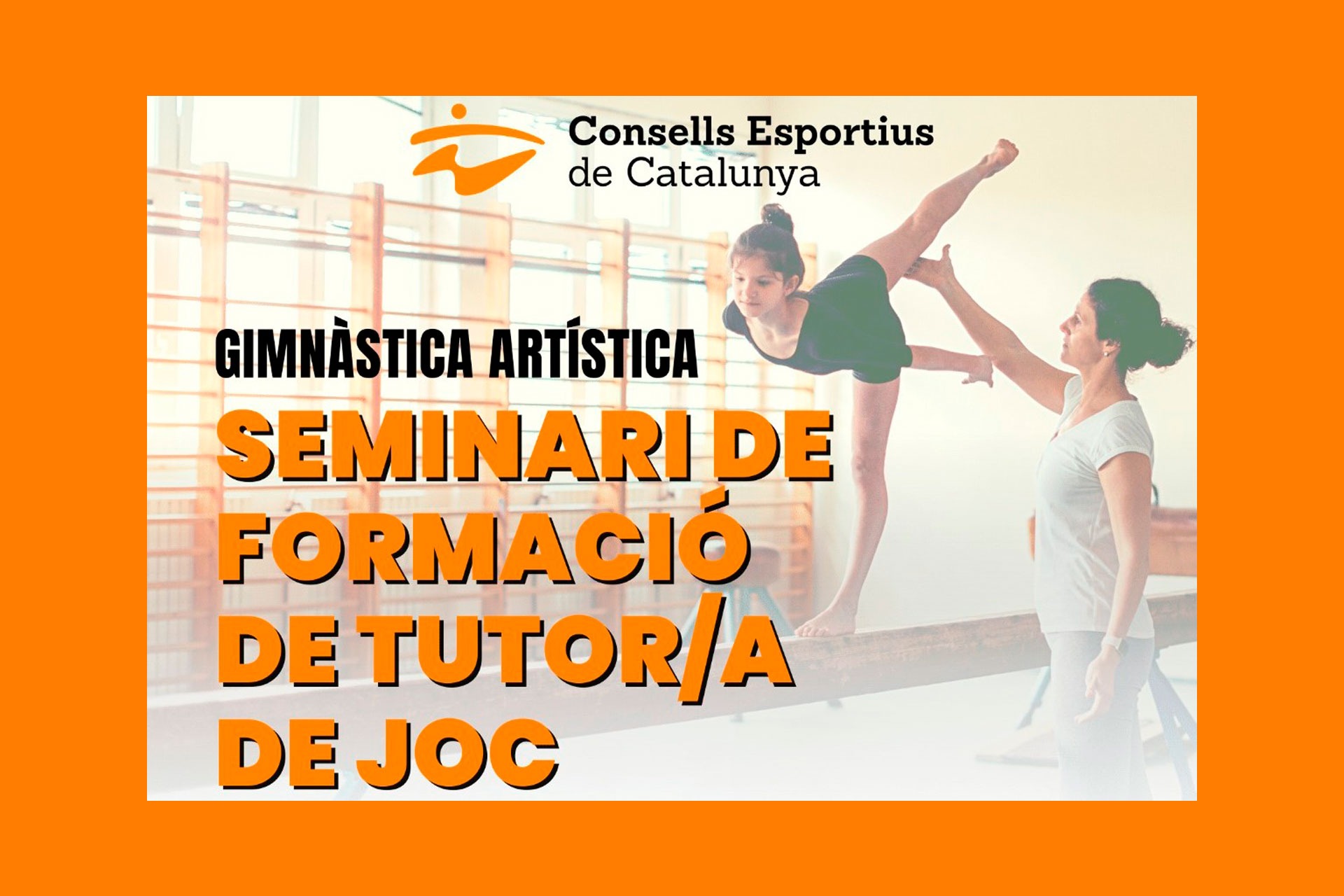 Seminari de formació de tutors/es de joc de Gimnàstica Artística...